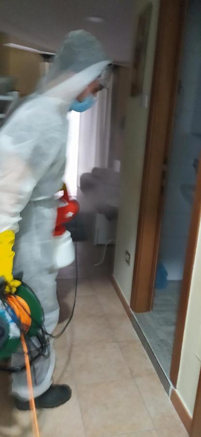 La Torre B&B 阿韦利诺 外观 照片